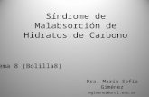 Síndrome de Malabsorción de Hidratos de Carbono