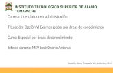 INSTITUTO TECNOLOGICO SUPERIOR DE ÁLAMO TEMAPACHE