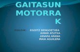 GAITASUN MOTORRAK