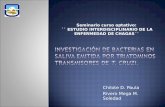 INVESTIGACIÓN DE BACTERIAS EN SALIVA EMITIDA POR TRIATOMINOS TRANSMISORES DE  T.  cruzi .