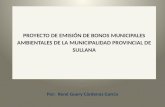 PROYECTO  DE EMISIÓN DE BONOS MUNICIPALES  AMBIENTALES  DE LA MUNICIPALIDAD PROVINCIAL DE SULLANA