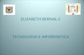 ELIZABETH BERNAL C TECNOLOGIA E INFORMATICA