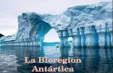 La  Bioregion  Antártica