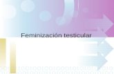 Feminización testicular