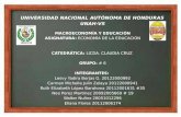 UNIVERSIDAD NACIONAL AUTÓNOMA DE HONDURAS  UNAH-VS MACROECONOMÍA Y EDUCACIÓN