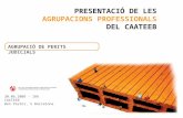 PRESENTACIÓ DE LES  AGRUPACIONS PROFESSIONALS DEL CAATEEB