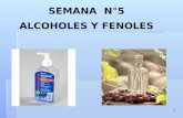 SEMANA   N°5 ALCOHOLES Y FENOLES