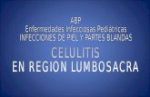 ABP Enfermedades Infecciosas Pediátricas INFECCIONES DE PIEL Y PARTES BLANDAS