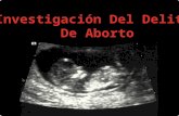Investigación Del Delito  De Aborto