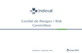 Comité de Riesgos /  Risk Committee