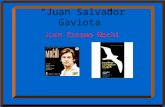 “Juan Salvador Gaviota”