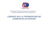 Cámara de Comercio Exterior de Costa Rica y     de Representantes de Casas Extranjeras