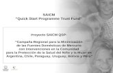 SAICM  “Quick Start Programme Trust Fund”
