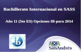 Bachillerato Internacional en SASS Año 11 (5to ES) Opciones IB para 2014