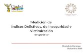 Medición de  Índices Delictivos, de Inseguridad y Victimización -propuesta- Ciudad de Durango