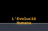 L’Evolució Humana