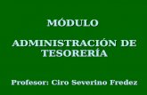 MÓDULO  ADMINISTRACIÓN DE TESORERÍA Profesor: Ciro Severino  Fredez