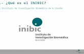1.- ¿Qué es el INIBIC ?