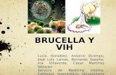 BRUCELLA Y VIH