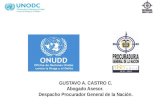GUSTAVO A. CASTRO C. Abogado Asesor.  Despacho Procurador General de la Nación.