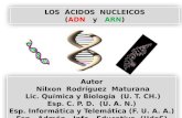 Autor  Nilxon  Rodríguez  Maturana  Lic. Química y Biología  (U . T.  CH.)