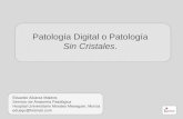 Patología Digital o Patología  Sin Cristales .
