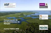 Conservación de los Ecosistemas de Manglar Cuenta Pública 2009