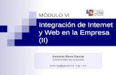 Integración de Internet y Web en la Empresa (II)