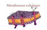 Membranas celulares