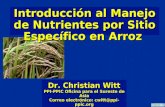 Introducción al Manejo de Nutrientes por Sitio Específico en Arroz
