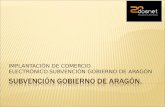 SUBVENCIÓN GOBIERNO DE ARAGÓN.