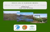 PROYECTO LOCAL DE VOLUNTARIADO AMBIENTAL Mejora del hábitat en la laguna de Los Prados (Málaga)