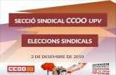 SECCIÓ SINDICAL  CCOO  UPV
