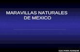 MARAVILLAS NATURALES  DE MEXICO