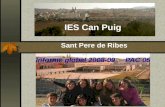 IES Can Puig  Sant Pere de Ribes Informe global 2008-09     PAC 05