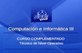 Computación e Informática III