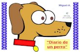 “Diario de un perro”