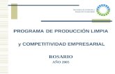 PROGRAMA DE PRODUCCIÓN LIMPIA  y COMPETITIVIDAD EMPRESARIAL ROSARIO AÑO 2005