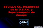 SEVILLA F.C. Bicampeón de la U.E.F.A. y Supercampeón de Europa