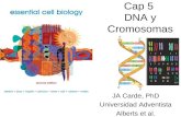 Cap 5  DNA y  Cromosomas