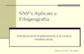 SNP’s Aplicats a Filogeografia