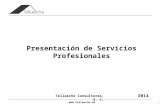 Presentación de Servicios Profesionales