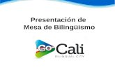 Presentación de  Mesa de Bilingüismo