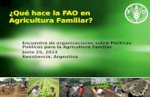 ¿Qué hace la FAO en Agricultura Familiar?