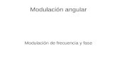 Modulación angular