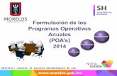 Formulación de los Programas Operativos Anuales ( POA’s ) 2014