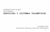 INTRODUCCION CURSO  DOCTORADO: SERVICIOS Y SISTEMAS TELEMÁTICOS