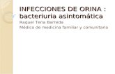 INFECCIONES DE ORINA : bacteriuria asintomática