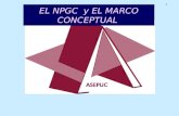 EL NPGC  y EL MARCO CONCEPTUAL