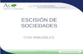 ESCISIÓN DE SOCIEDADES